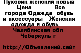 Пуховик женский новый › Цена ­ 2 600 - Все города Одежда, обувь и аксессуары » Женская одежда и обувь   . Челябинская обл.,Чебаркуль г.